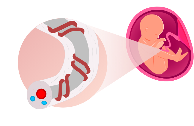 tab-cord-blood-02.png